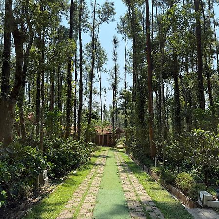 Coffee Grove Resort Чикмагалур Екстер'єр фото