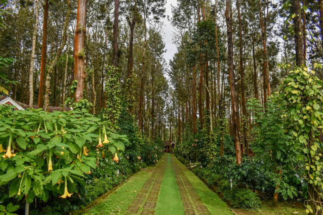 Coffee Grove Resort Чикмагалур Екстер'єр фото