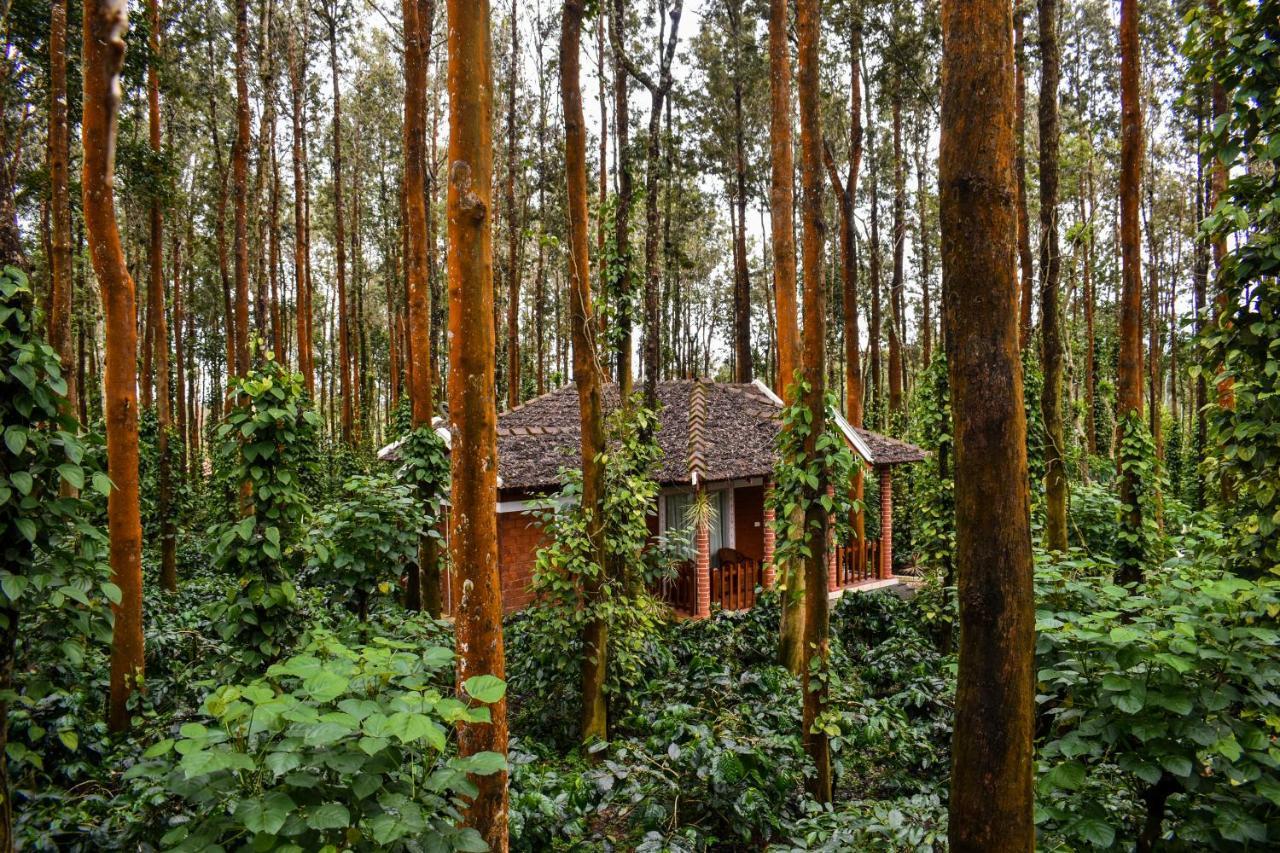 Coffee Grove Resort Чикмагалур Екстер'єр фото
