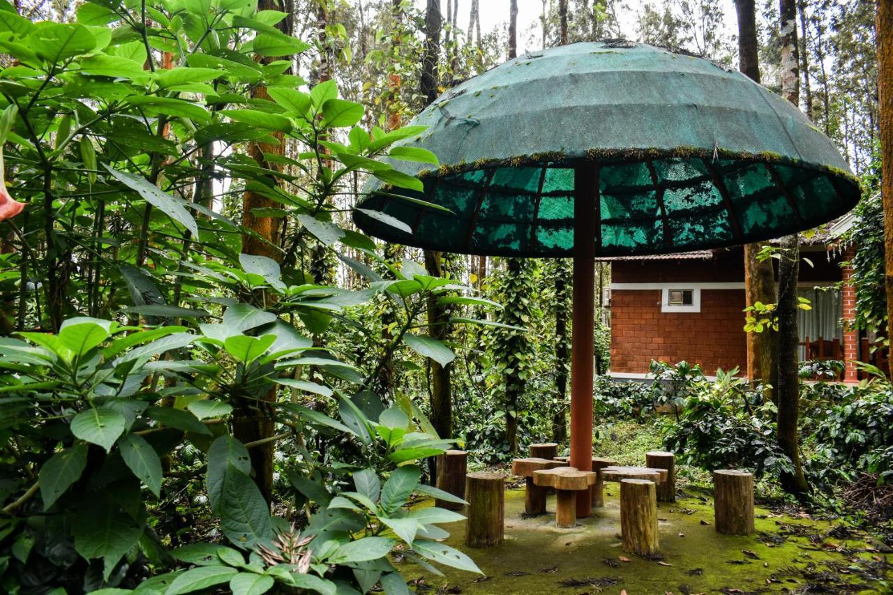Coffee Grove Resort Чикмагалур Екстер'єр фото