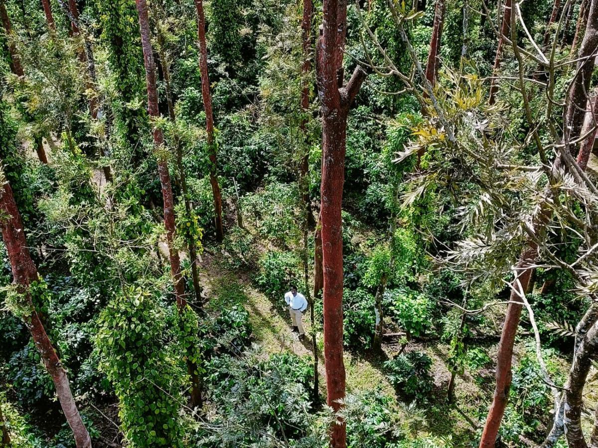 Coffee Grove Resort Чикмагалур Екстер'єр фото