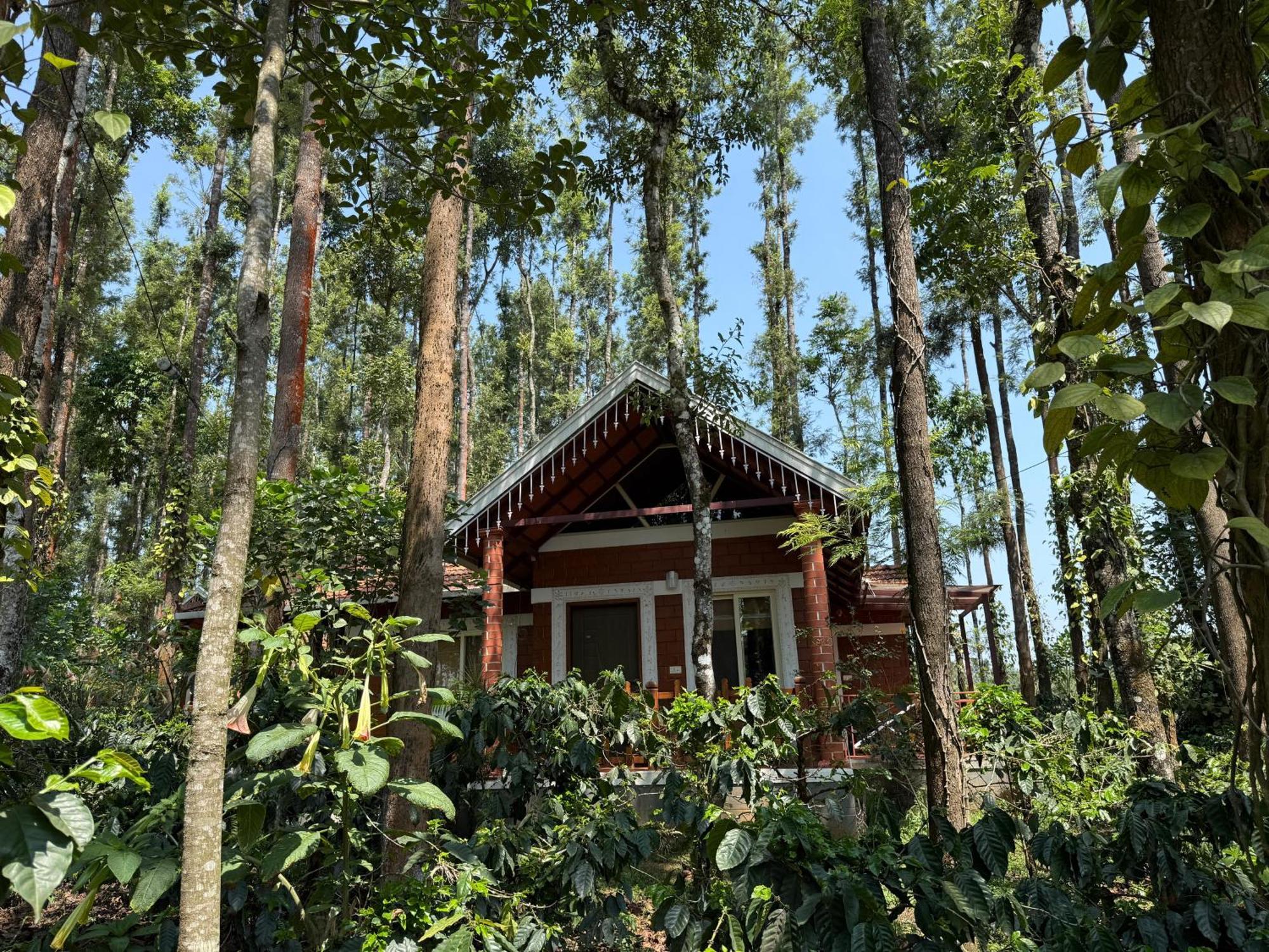 Coffee Grove Resort Чикмагалур Екстер'єр фото