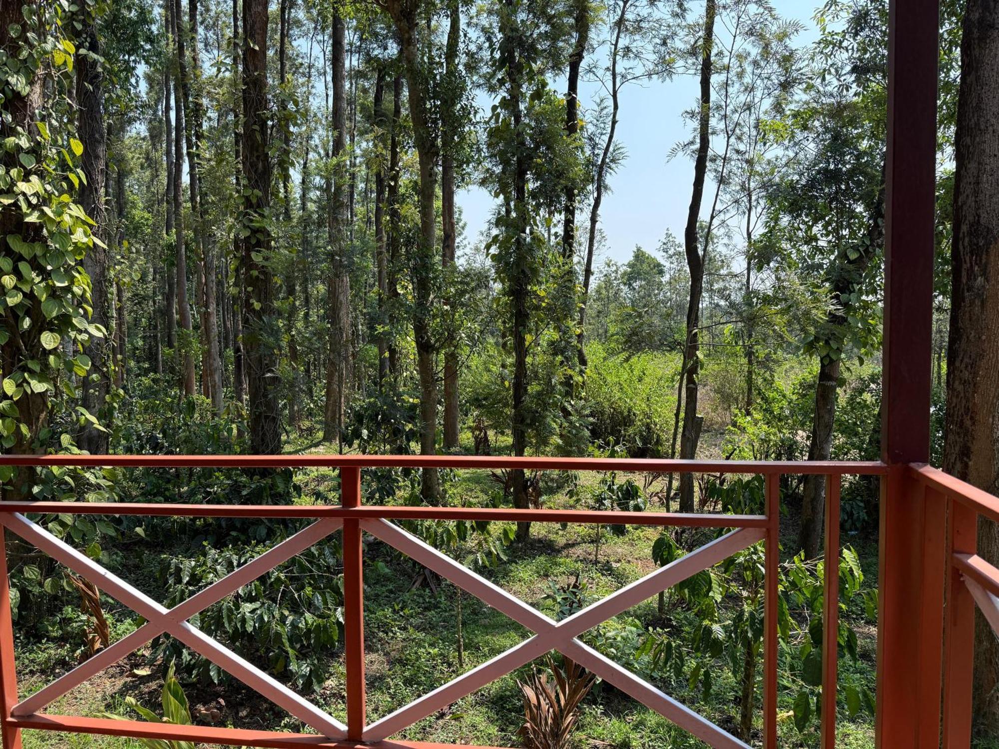 Coffee Grove Resort Чикмагалур Екстер'єр фото