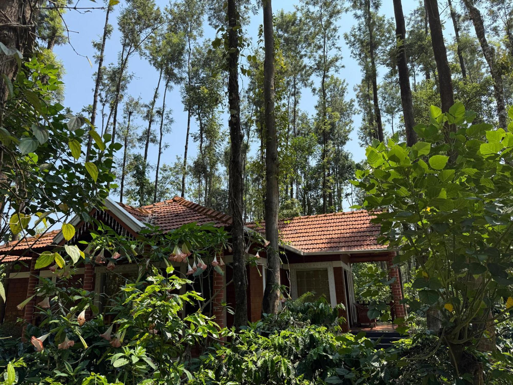 Coffee Grove Resort Чикмагалур Екстер'єр фото