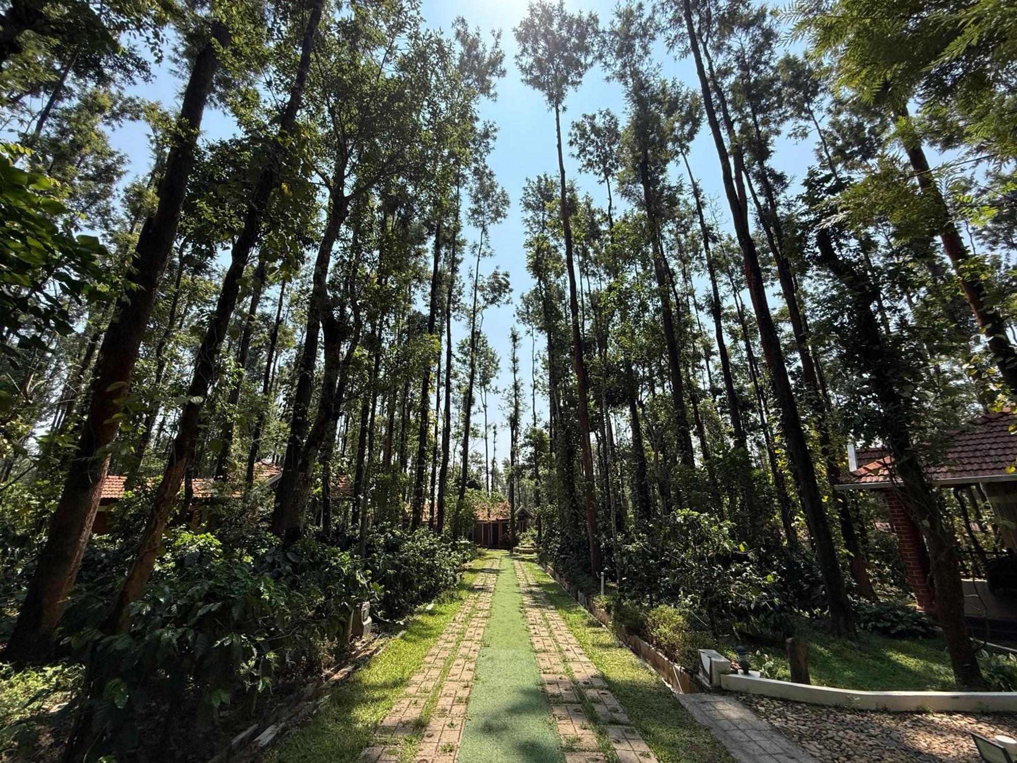 Coffee Grove Resort Чикмагалур Екстер'єр фото