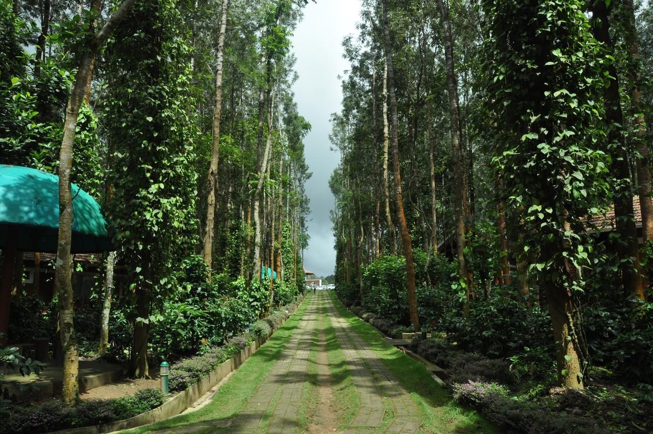 Coffee Grove Resort Чикмагалур Екстер'єр фото
